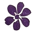 icon1